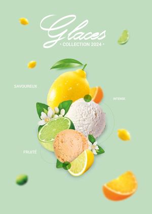 Catalogue Glace Commercial 2024