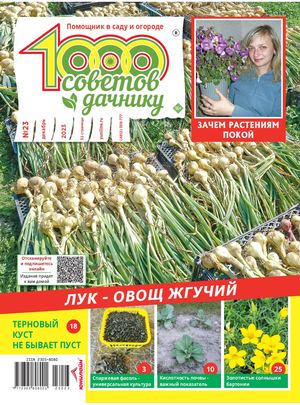 Calaméo - 1000svdch 232023