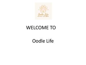 Cavoodle Breeders Oodle Life