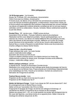 Bilan Pédagogique Cdi