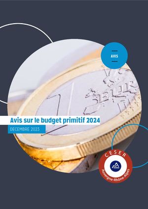Avis sur le budget primitif 2024