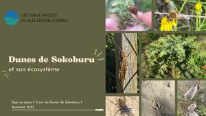 Les dunes de Sokoburu