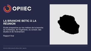 23 12 01 Opiiec Réunion