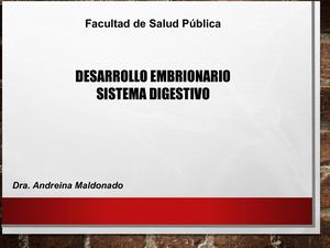 Desarrollo Embrionario Sistema Digestivo