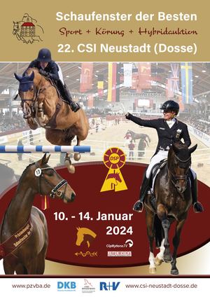 Schaufenster Der Besten 2024 Und 22 Csi Neustadt (Dosse