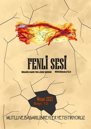 Fenli Sesi 2023