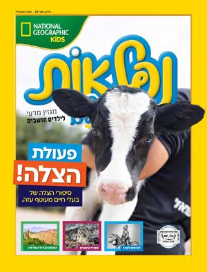 דיגיטל נפלאון קובץ טבת