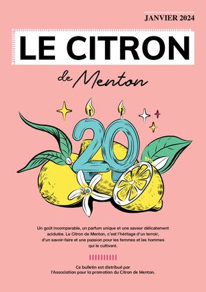Apcm Magazine Citron N5