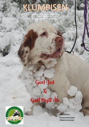 Klumpsen Nr 3 2023