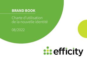 0 Charte Graphique Efficity Def (3) (1)