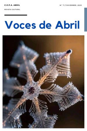 Voces De Abril Nº7
