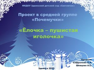 Проект "Ёлочка пушистая иголочка" 12 23 Почемучки
