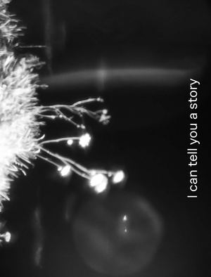 I can tell you a story