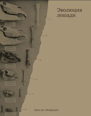 Эволюция лошади