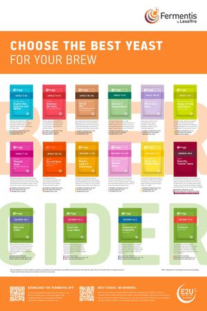 Homebrew Beer Poster