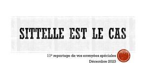 Sittelle Est Le Cas