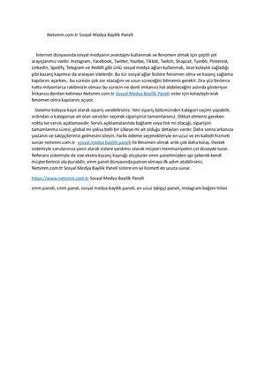 Netsmm Com Tr Sosyal Medya Bayilik Paneli