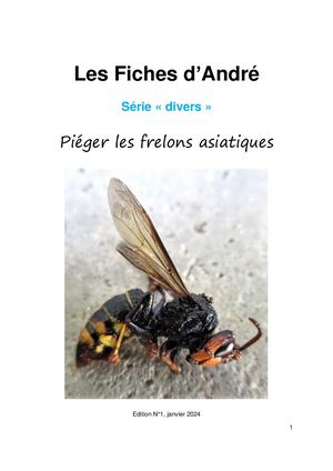 Piéger Les Frelons Asiatiques