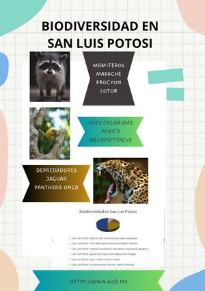 Documento A4 Portada Proyecto Creativo Orgánico Colorido