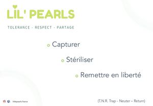 Workshop - TNR (FR)