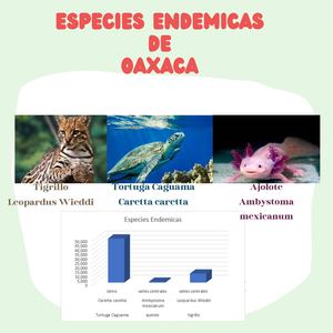 Especies Endemicas De Oaxaca Canva