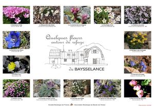 Affiche Baysselance 2023