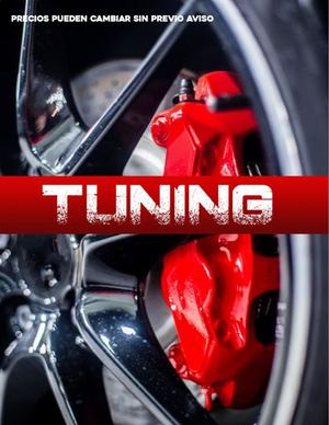 Catálogo Tuning