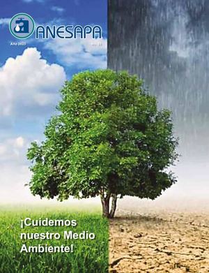 Anesapa 53 Web Ok