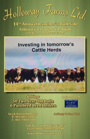 Holloway Farms 14th Annual Rancher's Bull Sale