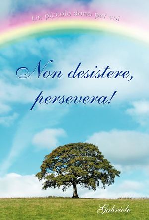 Non Desistere, Persevera