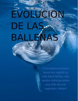 Evolucion De Las Ballenas