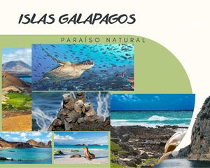 Conservacion Galapagos