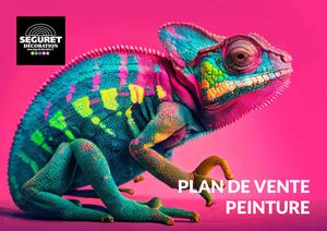 Plan De Vente Peinture 2024
