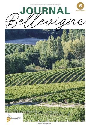 Journal de Bellevigne