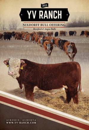 YV Ranch 2024 Bull Offering