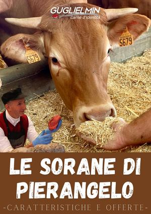 Sorana Limousine, Quarti e Mezzene