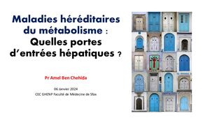 Portes D'entrées Hép Aux Mhm