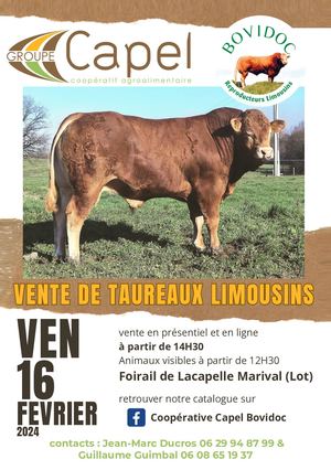 Catalogue Vente Lacapelle 2024