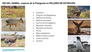 Día Del Animal Especies En Extinción