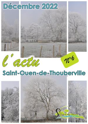 Compo Bulletin 6 Irs