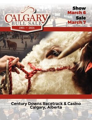Calgary Bull Sale 2024