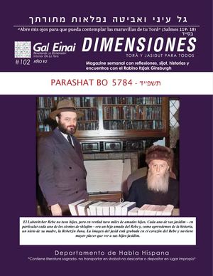 Dimensiones BO 5784 Edición 102