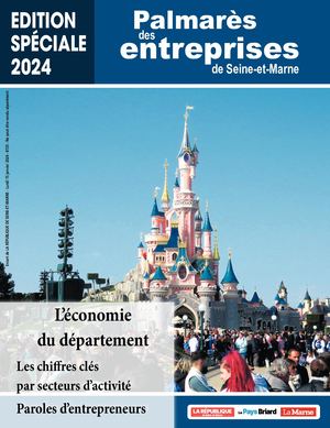 Dossier Palmares Entreprises 2024