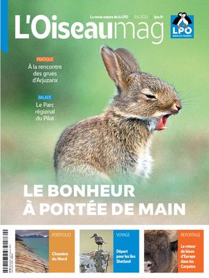 L'OISEAU MAG n°151