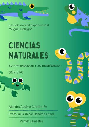 CIENCIAS NATURALES. SU APRENDIZAJE Y SU ENSEÑANZA