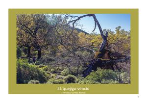 El Quejigo Vencío