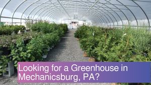 Looking for a Greenhouse in Mechanicsburg, PA?