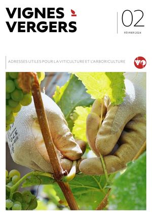 9240041 V V 2024 2 Bqv