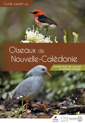 Oiseaux De Nouvelle Calédonie