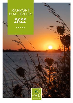 Rapport Activites 2022